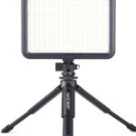 Videoleute
